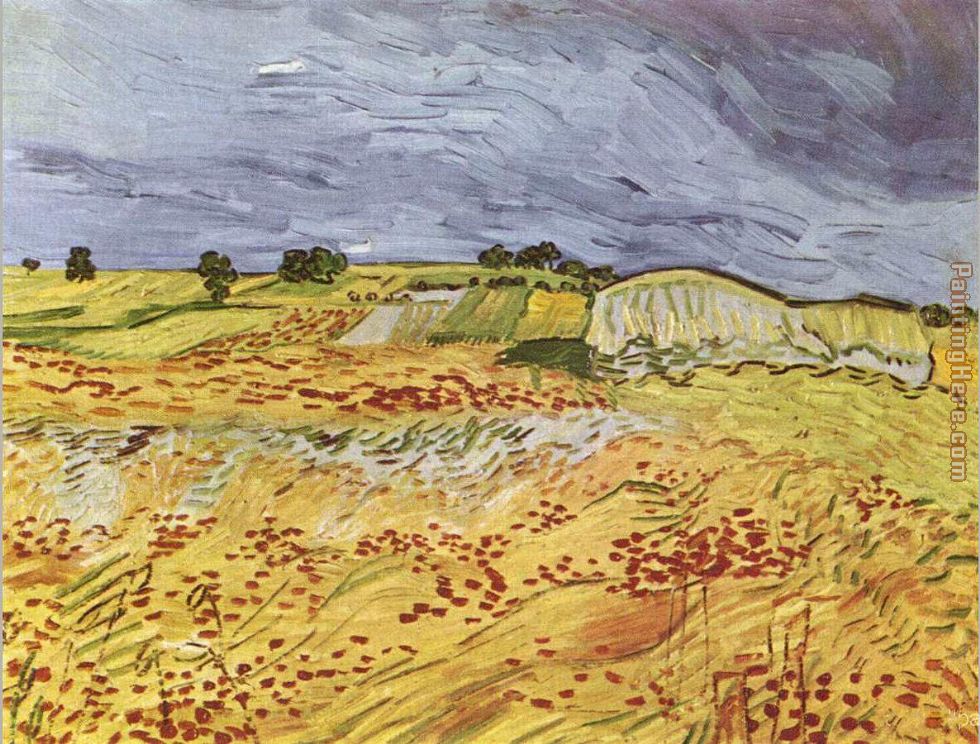 Vincent van Gogh The Plain at Auvers